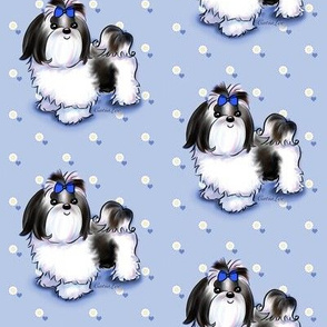 Shih Tzu Black Blue M