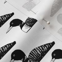 Loon: Black and White