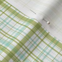 Ride a bike coordinating check in mint and olive (smaller plaid)