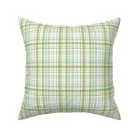 Ride a bike coordinating check in mint and olive (smaller plaid)