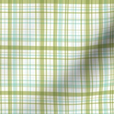 Ride a bike coordinating check in mint and olive (smaller plaid)
