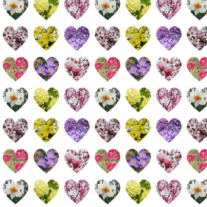 9 hearts spring flowers
