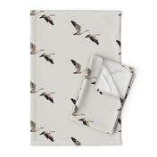 Arctic Snow Geese - Light Gray - Medium Scale