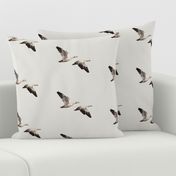 Arctic Snow Geese - Light Gray - Medium Scale