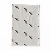 Arctic Snow Geese - Light Gray - Medium Scale