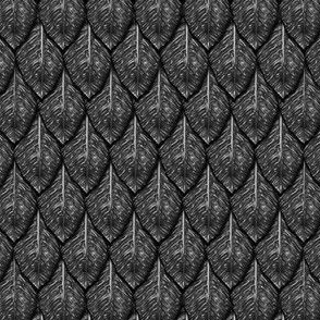 GRAY DRAGON SCALES