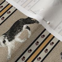 4 Colors of Border Collie Stripe