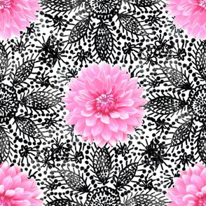 Rustic_pink_Dahlia_black_lace_white