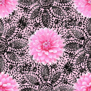 Rustic_pink_Dahlia_black_lace_pink