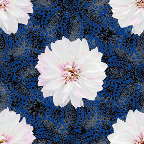 Rustic white Dahlia on black lace (navy)
