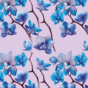 Orchid Blue and Lilac