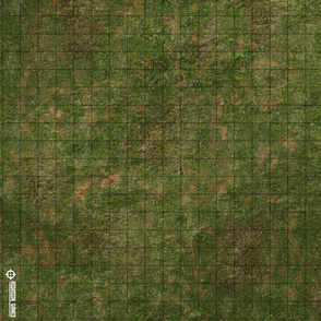 Grass Map
