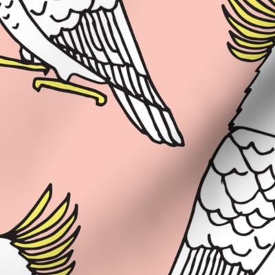 Cockatoo - Pale Pink by Andrea Lauren