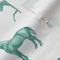 Green Horse Print Small