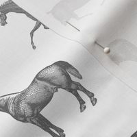 gray horse print