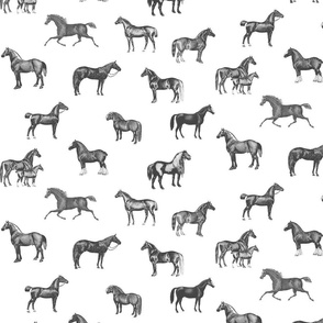 black white horse print