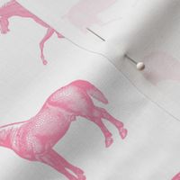 Pink Horse Print