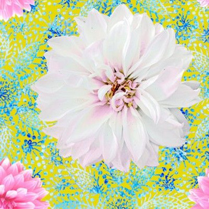 Rustic pink & white Dahlias on blue lace (yellow)