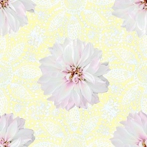 Rustic white Dahlia on white lace (yellow)