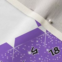 DIY XL D20 dice Plushy/bag Purple