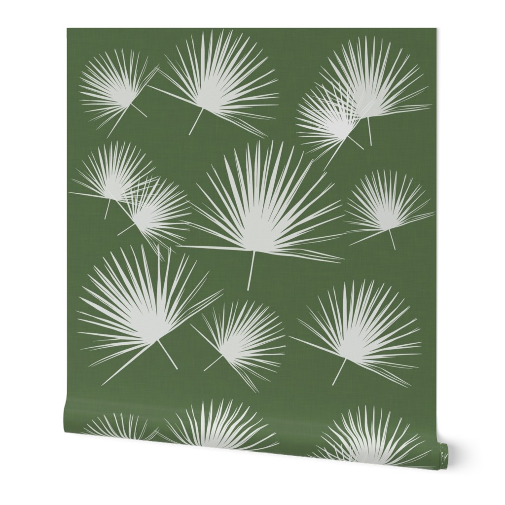 Fan palmetto green white palm leaf palm frond