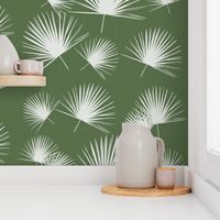 Fan palmetto green white palm leaf palm frond