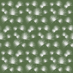 Fan palmetto green white palm leaf palm frond