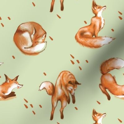 Happy Fox / Olive