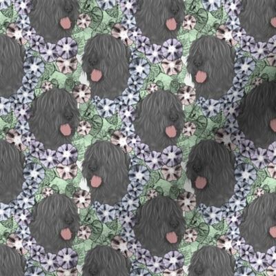 Floral Black Russian Terrier portraits - small