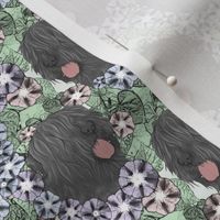 Floral Black Russian Terrier portraits - small