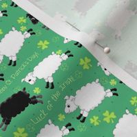 Counting Sheep Shamrocks small