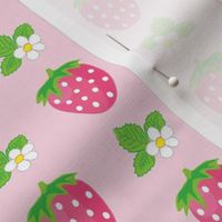 strawberries and blossoms on pink