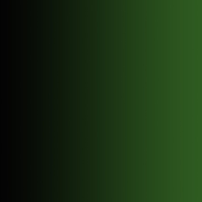Black & Green Ombre