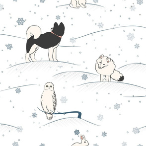 Arctic Hare and Friends