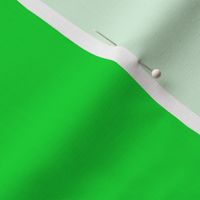 Solid Green (#0cd931)