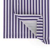 Quarter Inch Ultra Violet and White Vertical Stripes
