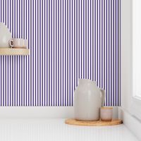 Quarter Inch Ultra Violet and White Vertical Stripes