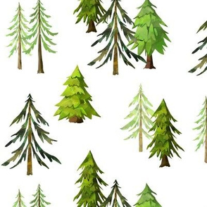 Pine Tree Forest - Woodland Trees MEDIUM SCALE B