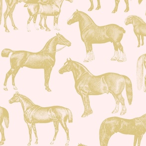 Pink and Gold horses