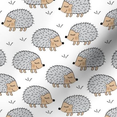 hedgehogs on white