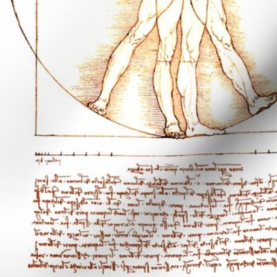 1 uncensored Vitruvian Man Leonardo da Vinci classical Renaissance anatomy anatomical studies portraits ratios sepia antique nude naked architecture nudity circles squares body proportions mathematics art