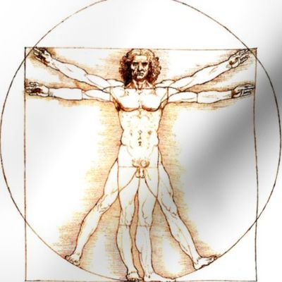 11 no words uncensored Vitruvian Man Leonardo da Vinci classical Renaissance anatomy anatomical studies portraits ratios sepia antique nude naked architecture nudity circles squares body proportions mathematics art   