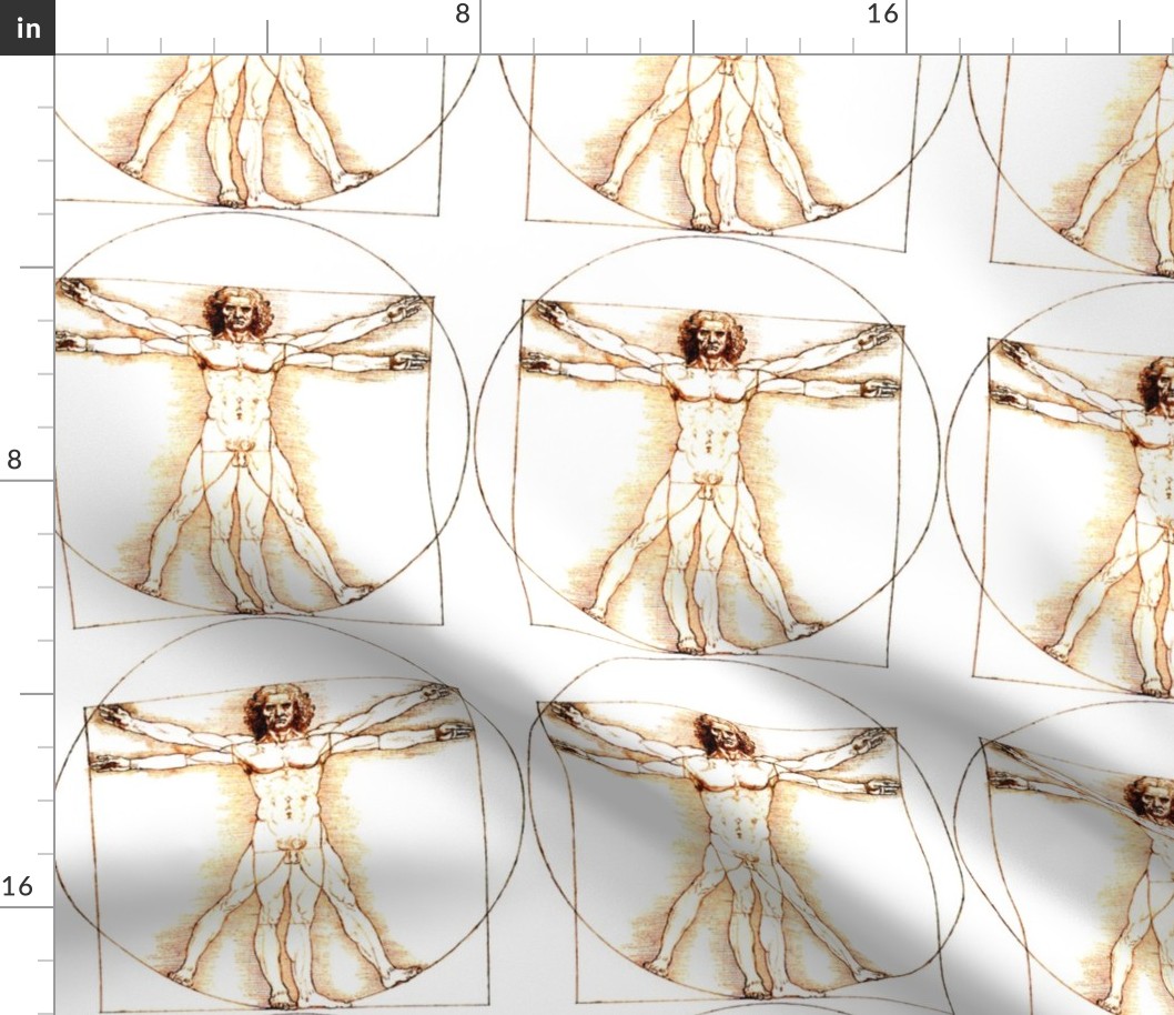 11 no words uncensored Vitruvian Man Leonardo da Vinci classical Renaissance anatomy anatomical studies portraits ratios sepia antique nude naked architecture nudity circles squares body proportions mathematics art   