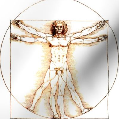 13 censored no words Vitruvian Man Leonardo da Vinci classical Renaissance anatomy anatomical studies portraits ratios antique nude naked architecture fig leaves leaf nudity circles squares body proportions mathematics art