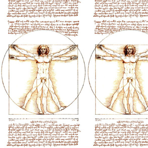 10 censored Vitruvian Man Leonardo da Vinci classical Renaissance anatomy anatomical studies portraits ratios antique nude naked architecture fig leaves leaf nudity circles squares body proportions mathematics art  