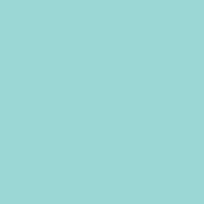 AQUA BLUE GREEN #9ad7d5 by FLOWERYHAT