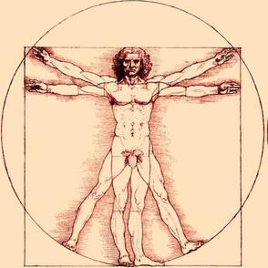 15 censored no words Vitruvian Man Leonardo da Vinci classical Renaissance anatomy anatomical studies portraits ratios sepia antique nude naked architecture brown fig leaves leaf nudity circles squares body proportions mathematics art  