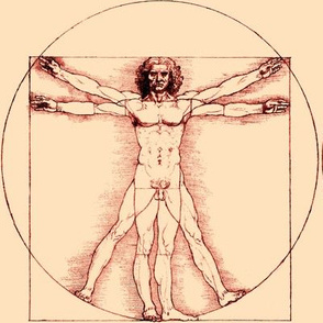 9 no words uncensored Vitruvian Man Leonardo da Vinci classical Renaissance anatomy anatomical studies portraits ratios sepia antique nude naked architecture brown nudity circles squares body proportions mathematics art  