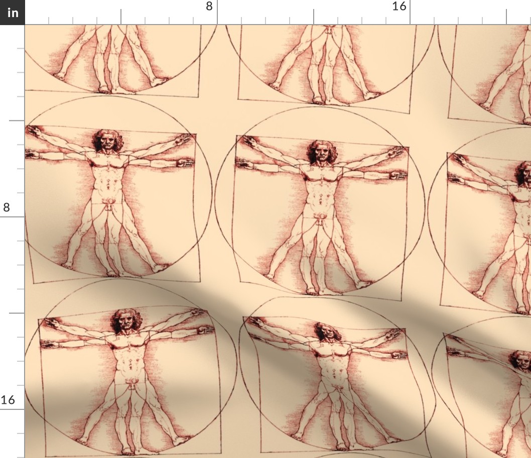 9 no words uncensored Vitruvian Man Leonardo da Vinci classical Renaissance anatomy anatomical studies portraits ratios sepia antique nude naked architecture brown nudity circles squares body proportions mathematics art  