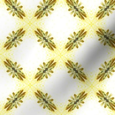 Starry Squares Diagonal Pattern Lt Gold White